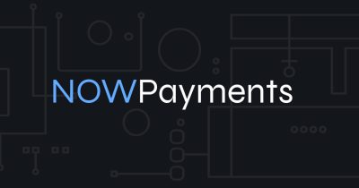 Accept crypto payments on your website easily with NOWPayments’ no-code payment widget