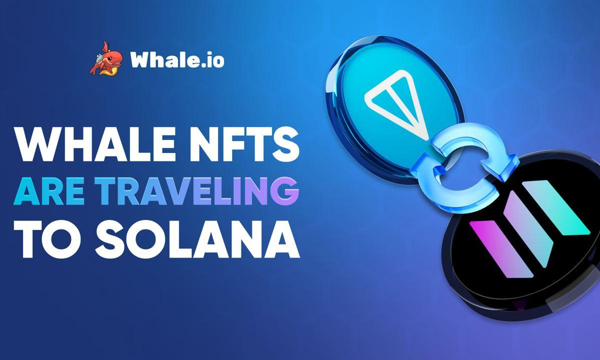 Whale NFT bridge goes live: TON to Solana migration launches on  Bridgemedaddy.com
