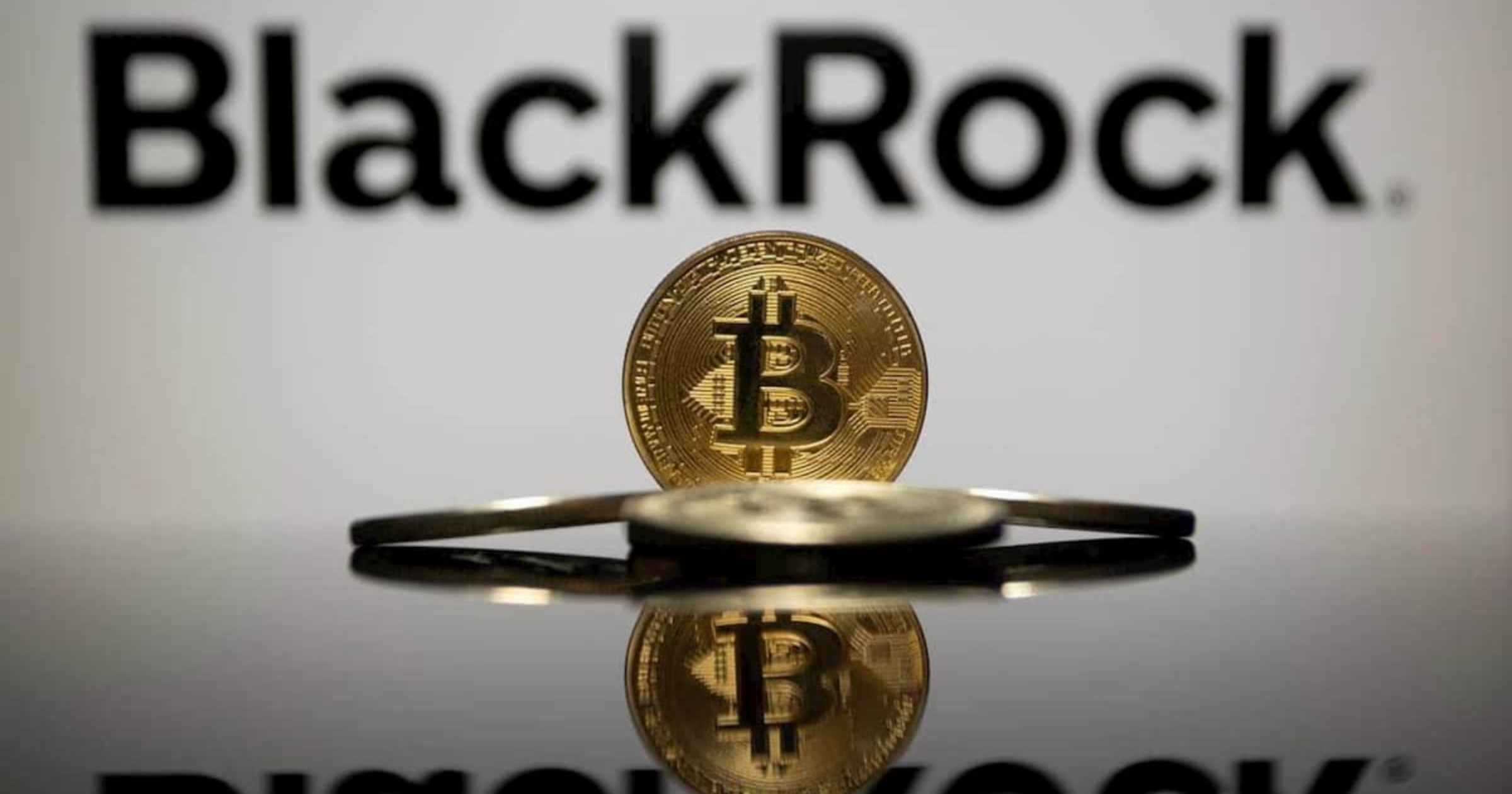 Abu Dhabi sovereign wealth fund, Citadel Advisors boost BlackRock Bitcoin  ETF holdings