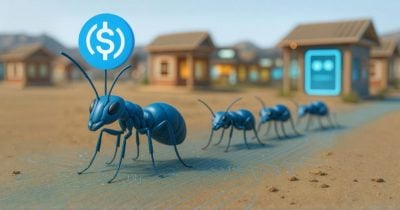Ant Group to adopt USDC for its blockchain platform Ant Group to adopt USDC for its blockchain platform
