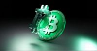Bitcoin Cash overview
