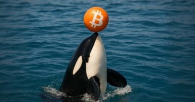 63558096-7b6e-4055-b3e1-56b018ec6b5f.jpg Galaxy Digital moves $447M in Bitcoin to exchanges, sparking sell-off speculation