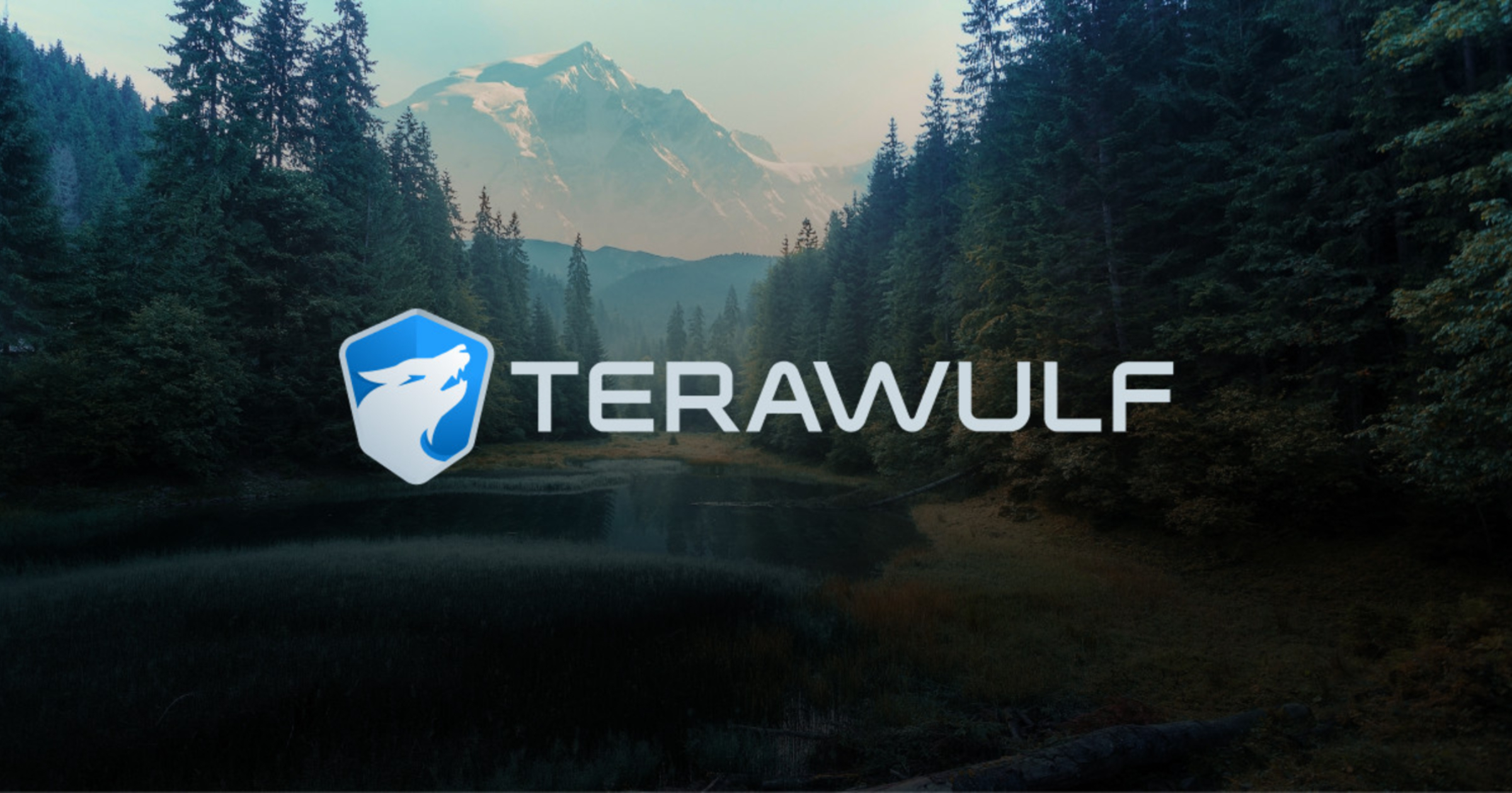 Google secures option for 8% stake in Bitcoin miner TeraWulf via $1.8B  backstop deal