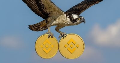f51ffb83-a365-45b2-acf1-29720ebd0223.jpg REX-Osprey files for BNB staking ETF after SOL ETF launch