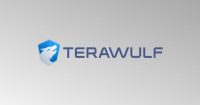 TeraWulf eyes B funding with support from Google