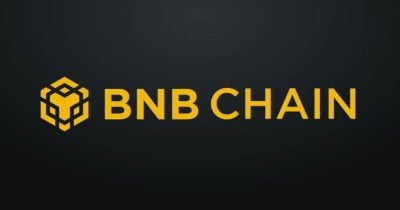 BNB Chain hits $5.6M in daily fees, its second-highest level in three years