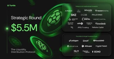 0ef184cf-4350-4e27-a896-8847ee8186f2.jpg Turtle raises an additional $5.5M to expand its liquidity distribution network