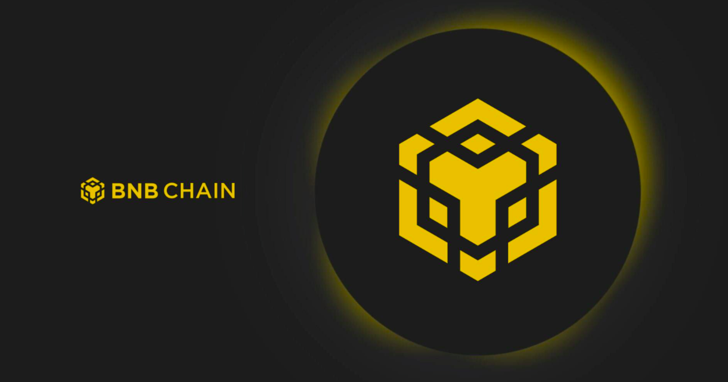 BNB Foundation completes 33rd quarterly burn, destroying $1.6B in BNB -  Crypto Briefing