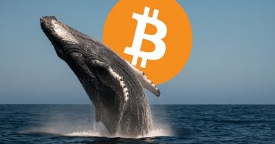 Bitcoin OG offloads 13,004 BTC to Kraken impacting market - CryptoBriefing | Related Crypto Article