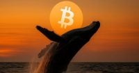 Bitcoin whale Owen Gunden completes 11K Bitcoin sale with final transfer to Kraken