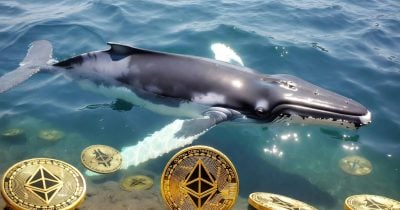 Ethereum ICO participant sells 23,000 ETH in one week amid renewed activity