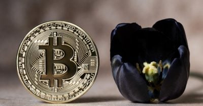 ‘Big Short’ Michael Burry says Bitcoin worse than tulip bubble