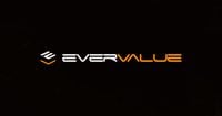 EverValue Coin consolidates an economic model with growing Bitcoin backing