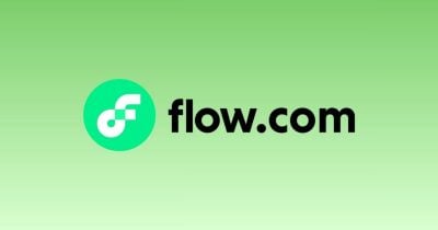 Upbit stellt eine vorsichtige Beratung bei L1 Flow nach Preissenkungen inmitten von Sicherheitsbedenken - CryptoBriefing | Related Crypto Article