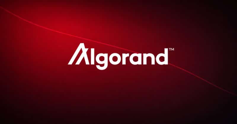 Algorand Foundation cuts 25% of staff as macro pressure and crypto slump weigh on operations