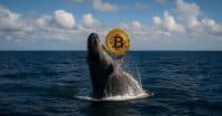 Bitcoin whale wakes after 14 years, sitting on $148 million windfall