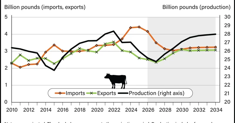 Trump administration plans to reduce tariffs on beef imports to lower prices