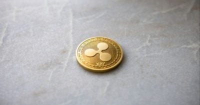 XRP sees record growth in large-holder wallets as accumulation outpaces volatility