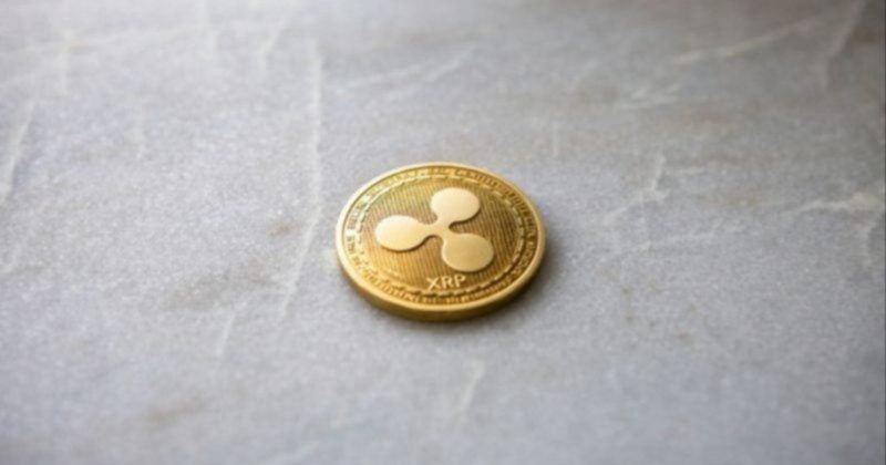 XRP sees record growth in large-holder wallets as accumulation outpaces volatility