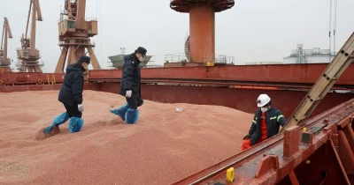 Xi-Trump summit may yield farm deal as China limits soybean imports