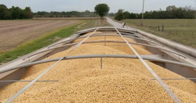 China agrees to purchase $17B in US agricultural products annually through 2028
