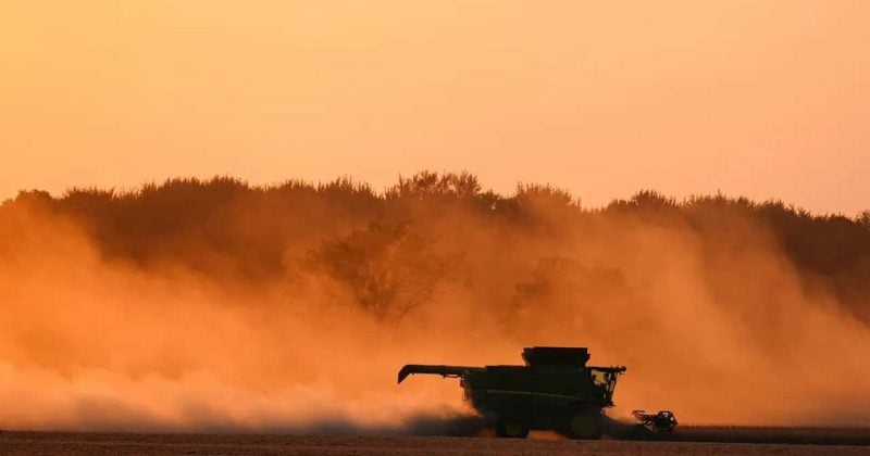 China to buy at least $17B in US agricultural products annually under new White House deal