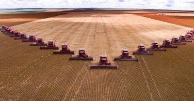China commits to $17B in US agricultural purchases from 2026 to 2028