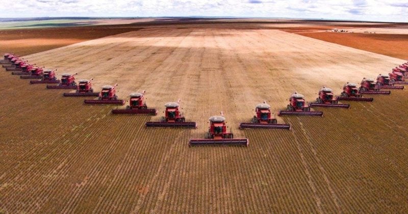 China commits to $17B in US agricultural purchases from 2026 to 2028