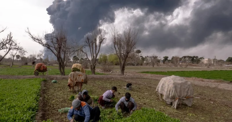 FAO warns Hormuz closure could trigger global food price crisis affecting 45 million people