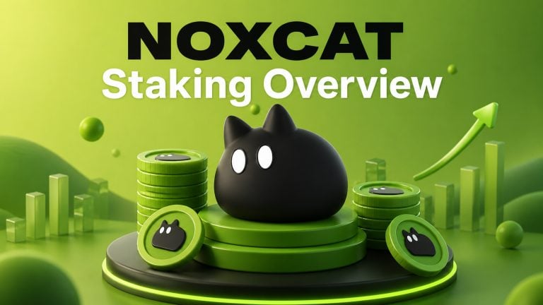 NoxCat positions staking as long-term ecosystem alignment, not a short-term yield game