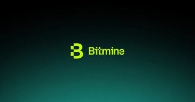 Bitmine hits 89% of ETH ownership goal in under a year of accumulation