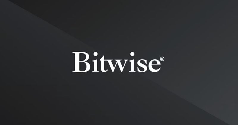 Bitwise CIO says crypto is becoming a contrarian bet as AI stocks dominate markets