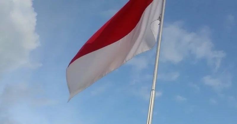 Indonesia centralizes strategic commodity exports under Danantara Sumberdaya Indonesia control from June 1