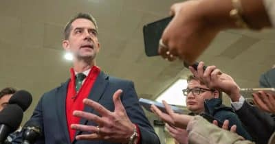 Sen. Tom Cotton urges DOJ to investigate Chinese influence on US AI infrastructure