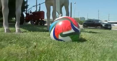 New Jersey distributes 770 free World Cup tickets to youth clubs and frontline workers