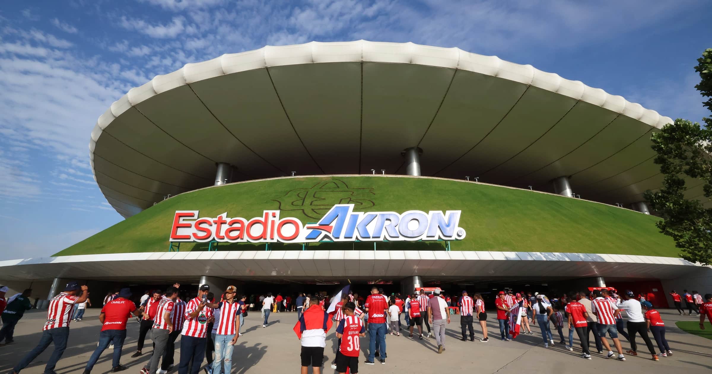 FIFA invests millions to standardize grass across World Cup stadiums