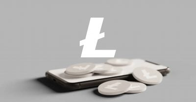 Litecoin whale wallets grow 7% as LitVM sparks renewed interest