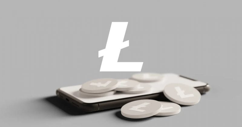 Litecoin whale wallets grow 7% as LitVM sparks renewed interest