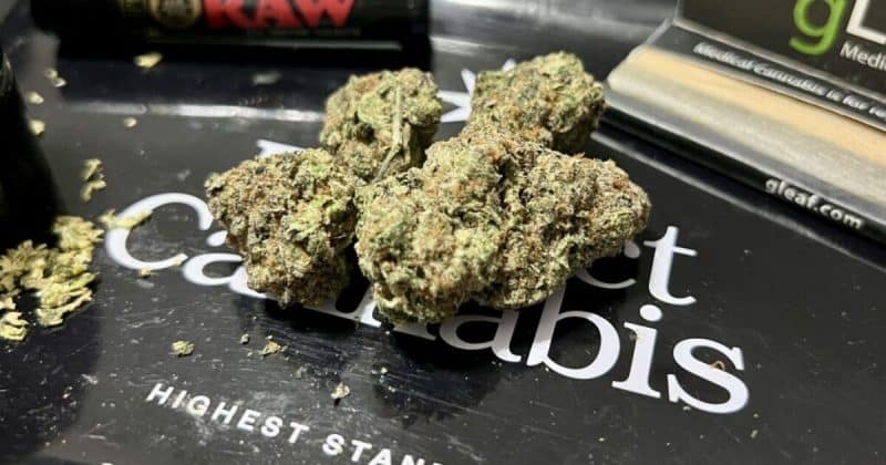 Trulieve becomes first major US cannabis operator to list on NYSE