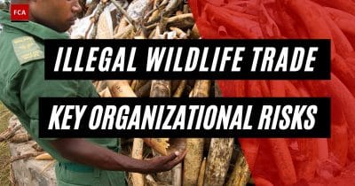 Google, Meta, PayPal, and Chainalysis team up to fight illegal wildlife trade with AI and blockchain