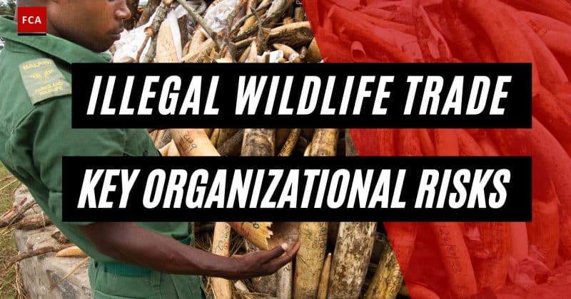 Google, Meta, PayPal, and Chainalysis team up to fight illegal wildlife trade with AI and blockchain