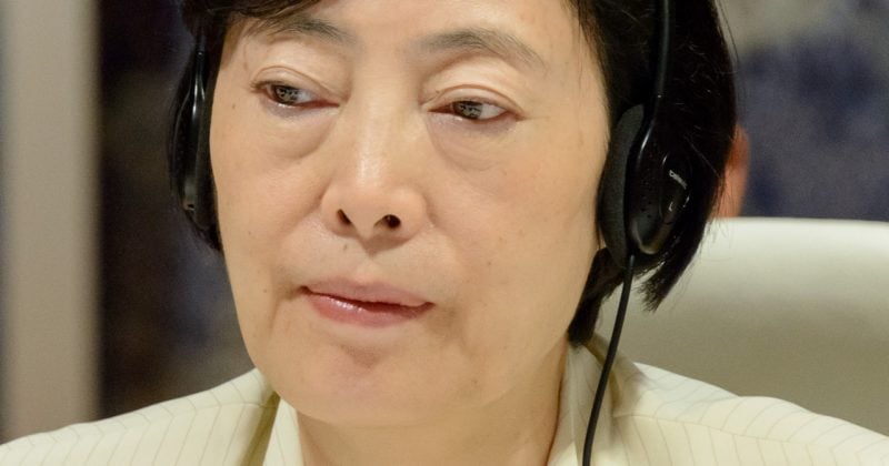Prince Group executive Hu Xiaowei arrested in Tokyo over $15B Bitcoin scam investigation