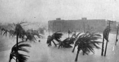 Scotland prepares for storm delay against Brazil amid severe weather warnings in Miami