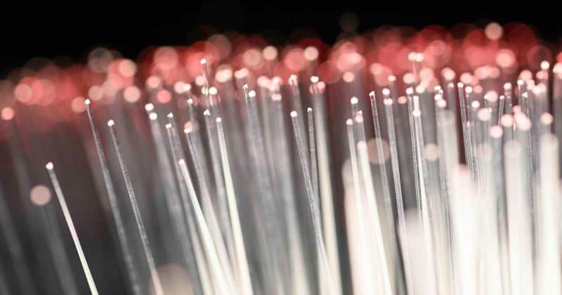Credo Technology slides as Wall Street weighs whether optical tech could replace its copper cash cow