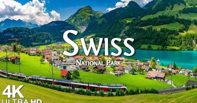 Swiss National Bank assesses UBS as well capitalised amid banking challenges