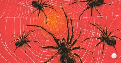 Scattered Spider suspect extradited to US over $8M crypto ransom demand