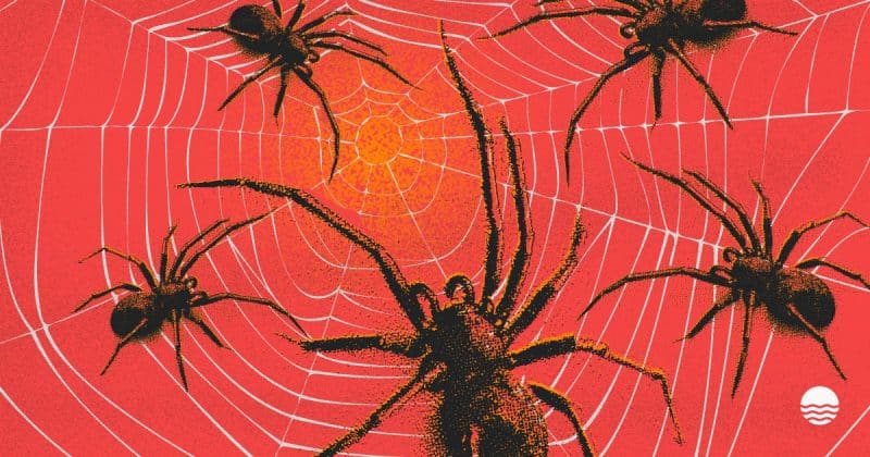 Scattered Spider suspect extradited to US over $8M crypto ransom demand