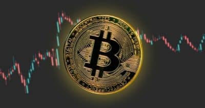 Corporate Bitcoin holdings top 1.2 million coins, over 6% of supply