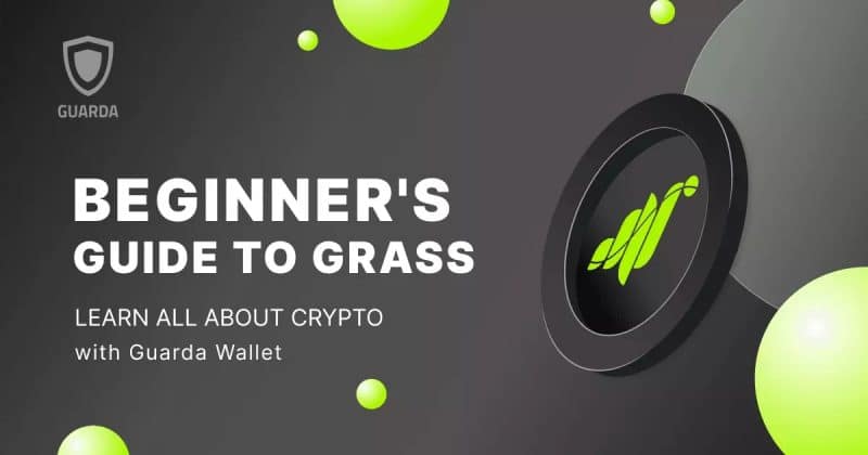Grass generates $33M per year from AI customers, governance vote on revenue capture set for July 7