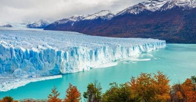 Argentina’s stunning World Cup comeback sends $ARG fan token and prediction markets into overdrive